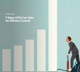 7 Steps CFOs Can Take for Efficient Growth