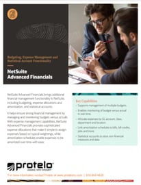 NetSuite Advanced Financials