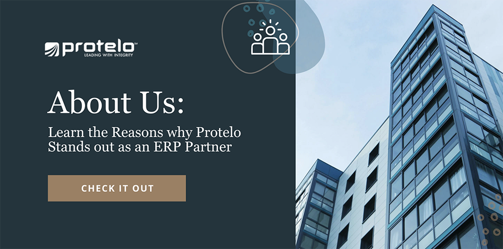 About Protelo - our company, our values, and our team